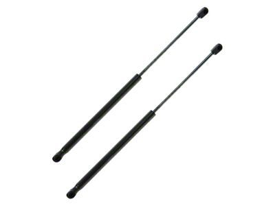 Hood Lift Support Set (03-07 RAM 3500)