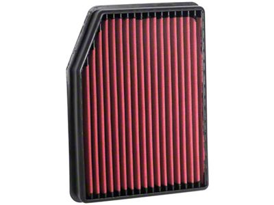 AEM Induction DryFlow Replacement Air Filter (19-23 Sierra 1500)