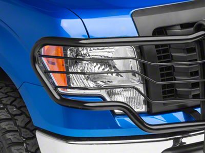 2010 F150 Brush Guard