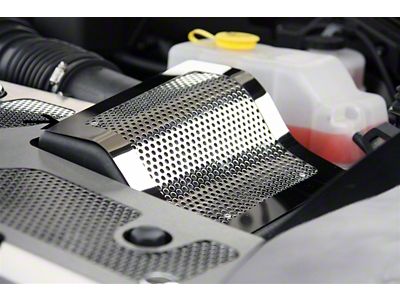 Perforated Factory Air Box Cover; Polished (10-14 F-150 Raptor)