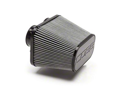 Cobb Cold Air Intake Replacement Dry Air Filter (17-20 2.7L/3.5L EcoBoost F-150)
